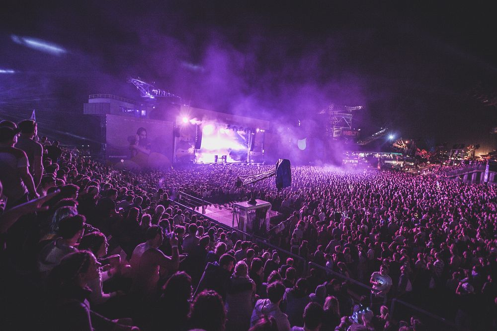 Music concert crowd